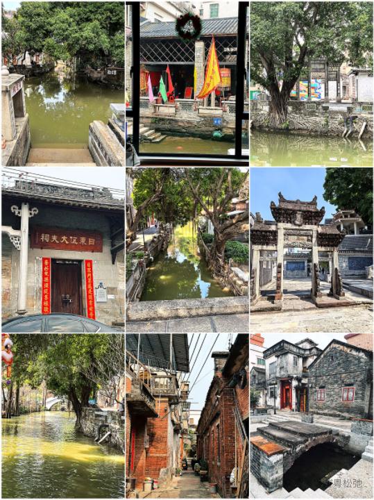 避开人潮！我在顺德挖到零商业化700年古村

刚下完雨专程逛了杏坛古朗村，真的被