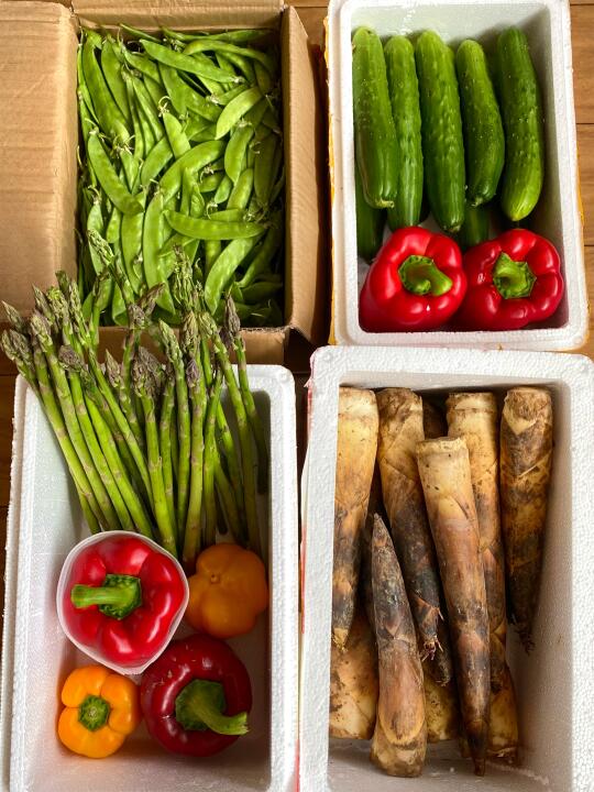 拼多多上买的春菜便宜又好吃🥒🫛🌶️