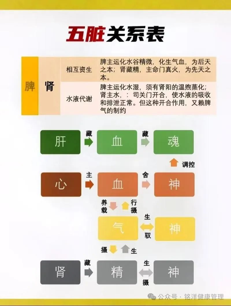 健康知识分享！