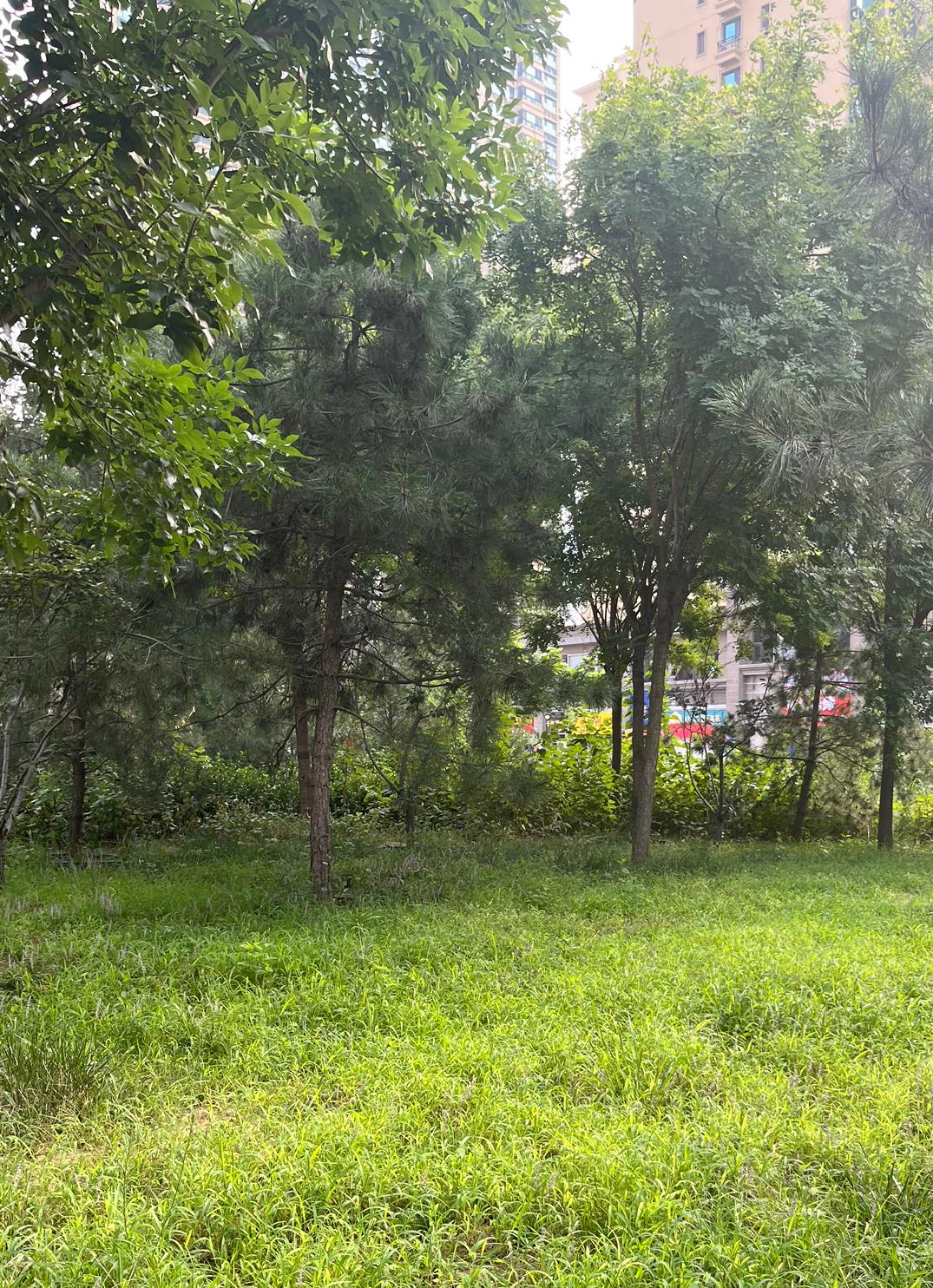 我的今日状态：😎自信酷炫
我这里的天气：🍂微风

前进的路上无需告诉别人，日