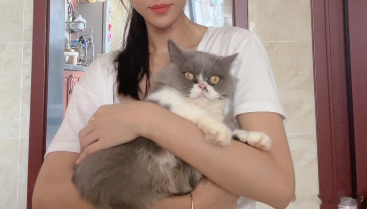 纯纯就算和我家猫打架打的鼻青脸肿也丝毫没影响她的美貌  ​​​