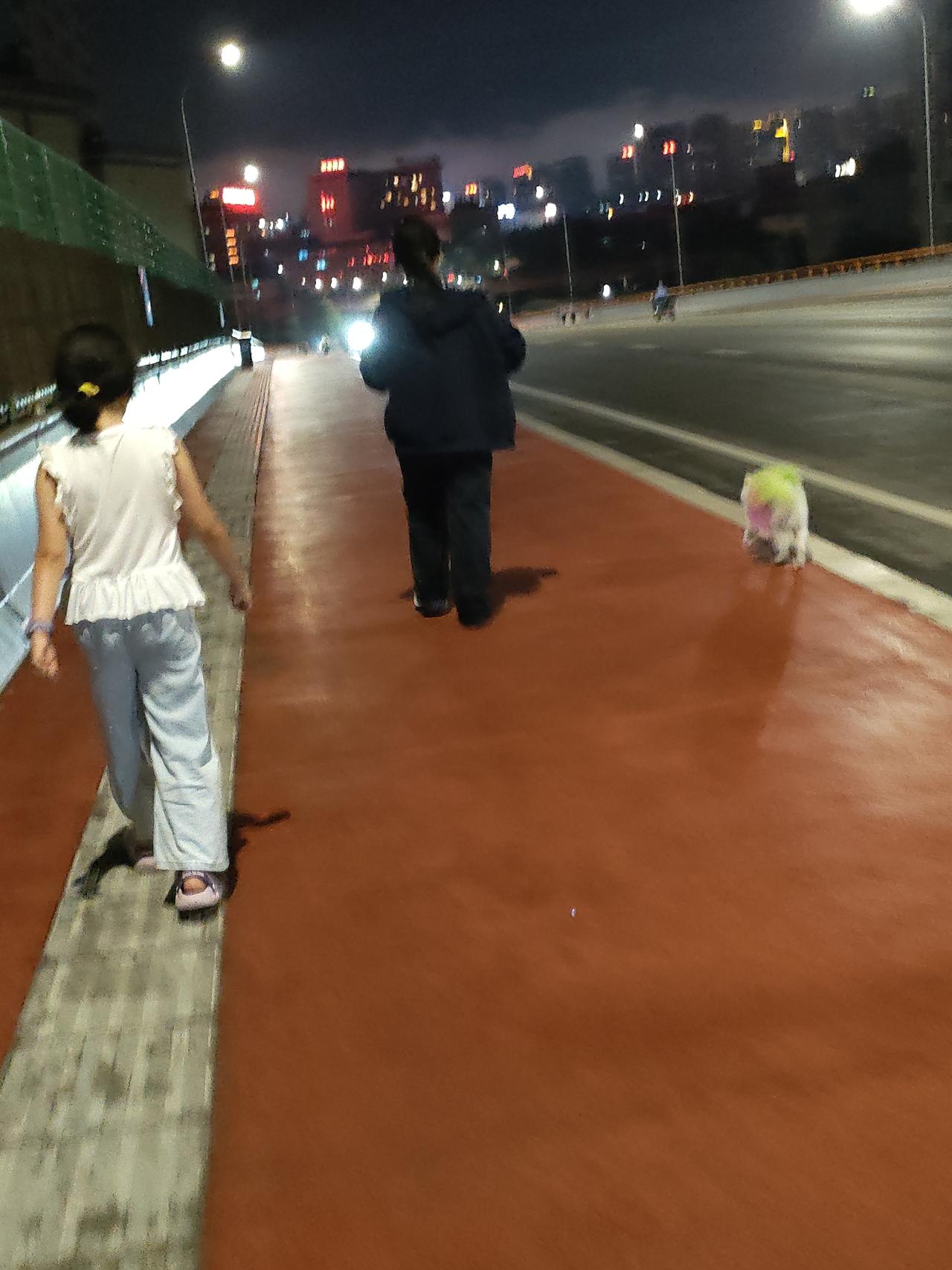 今日分享随手拍照片夜晚散步，晚风拂面，家人相伴，小狗相随，城市灯火之下，享受这份