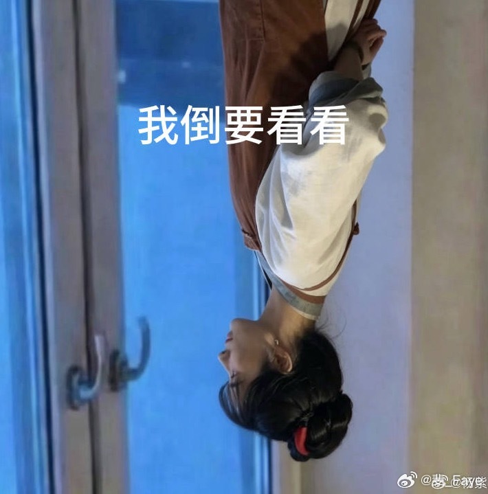 新的表情包来了…… 