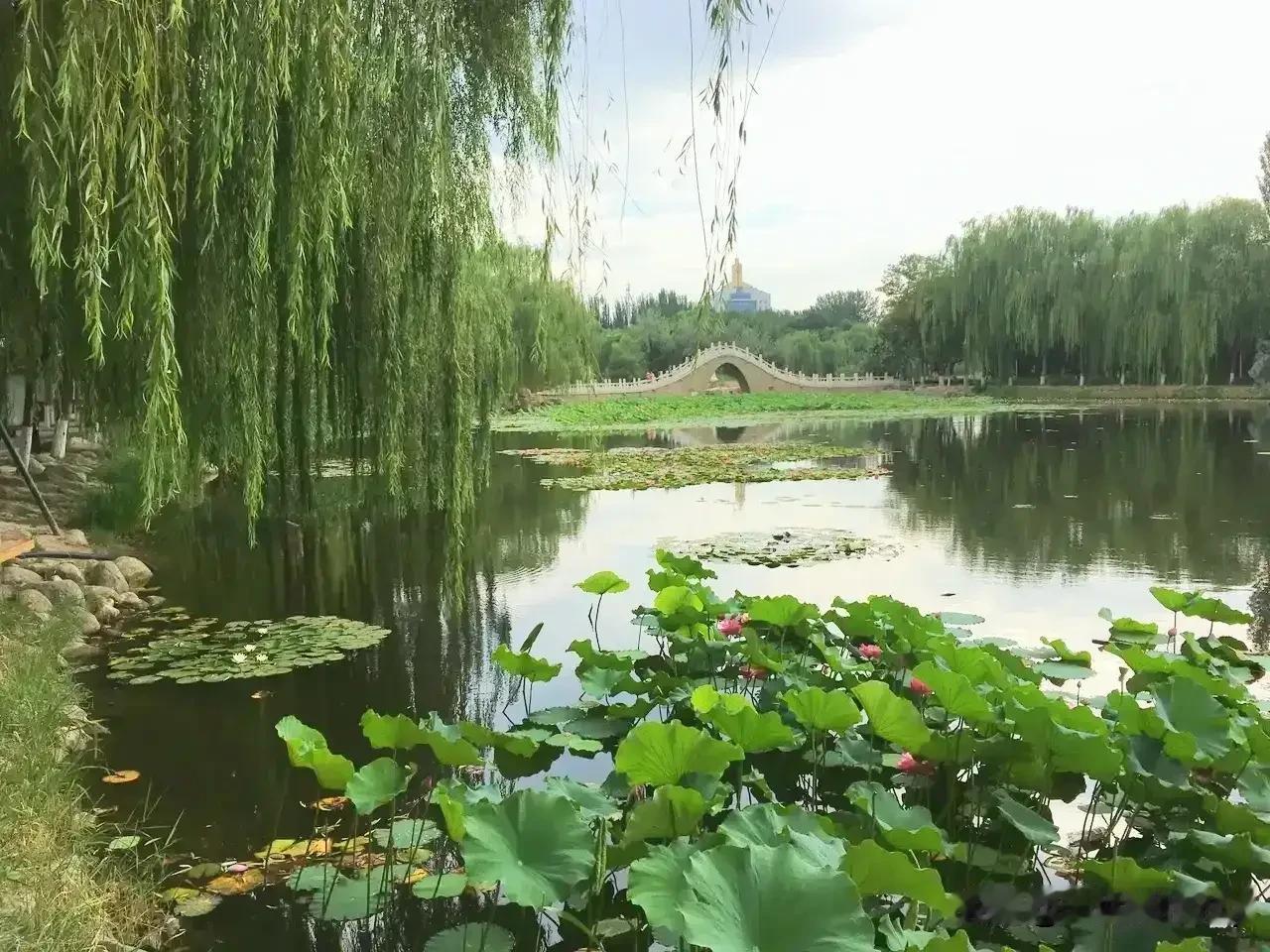 松涛入盏诗心淡
月色铺笺笔意悠