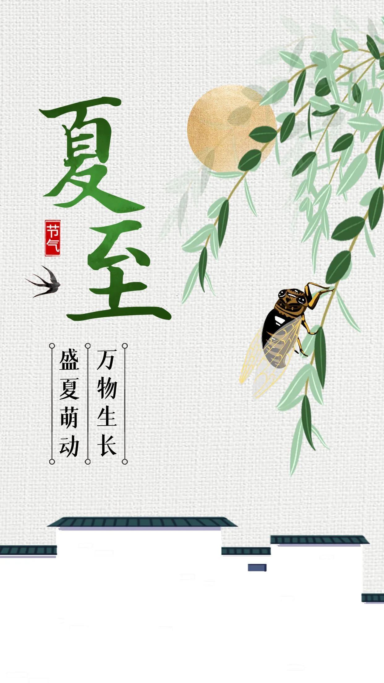 蝉鸣揉着荷风漫过巷口，6月21日我们踩着一年里最长的日光，撞进了夏至的怀抱。
作