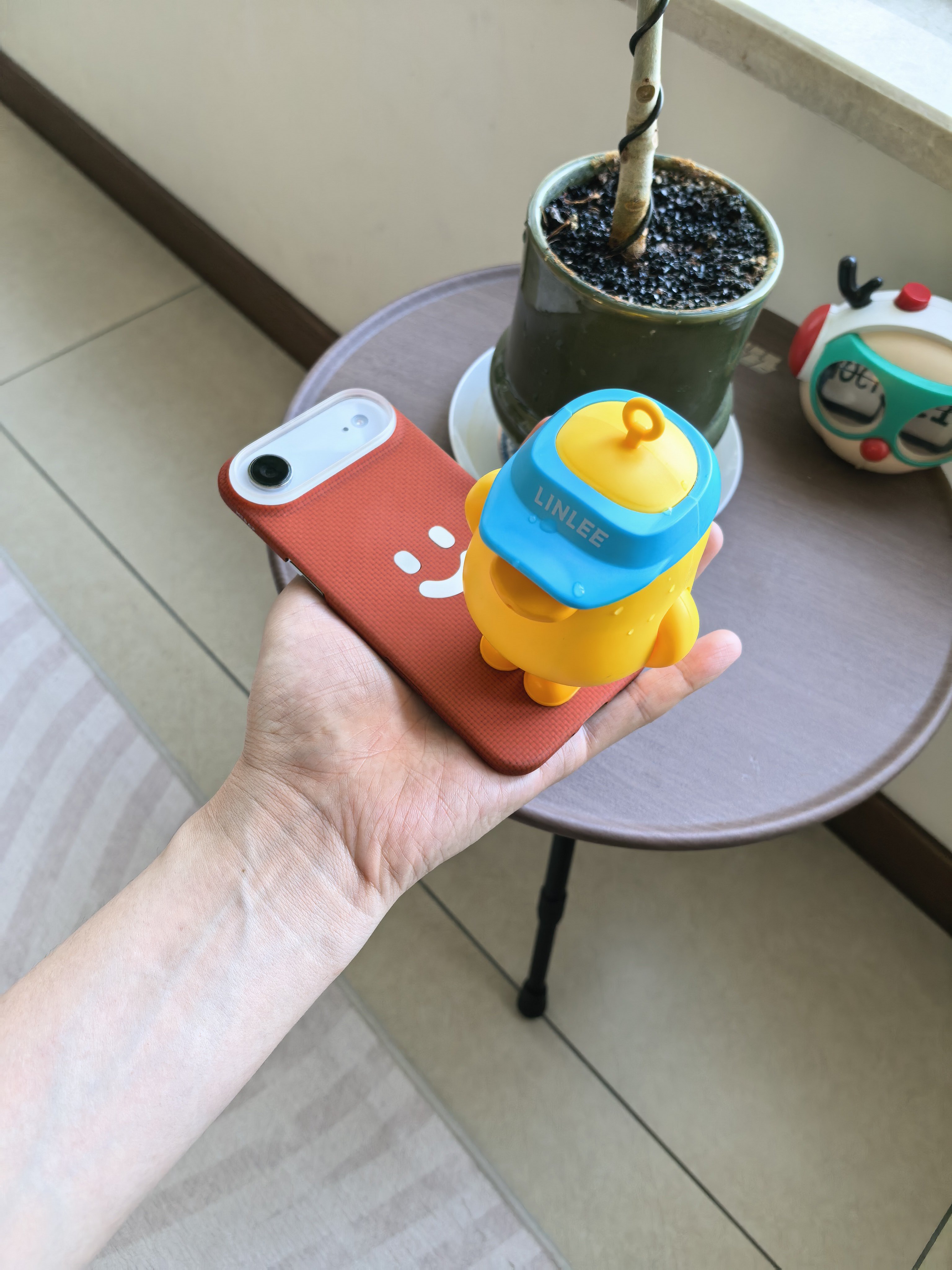 出差回来就收到了阿慕家的壳子和林里的喷水鸭喜迎六一