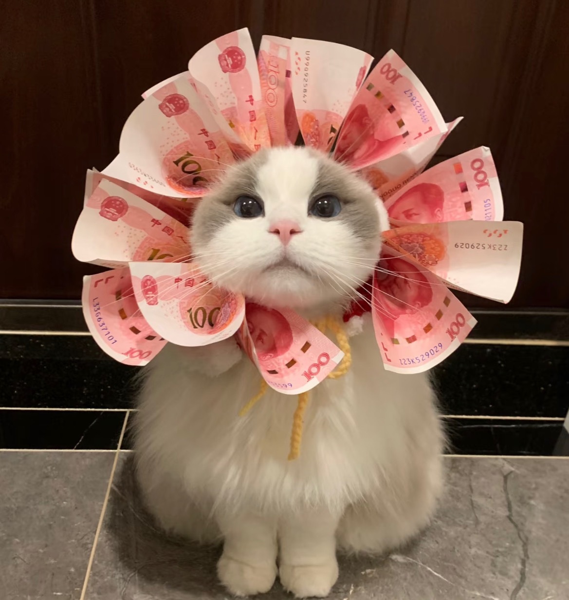 到点了，该吃晚饭咯～交出你们的晚餐！Ps：明天晚上发互动榜红包哟～卷妹的唠嗑