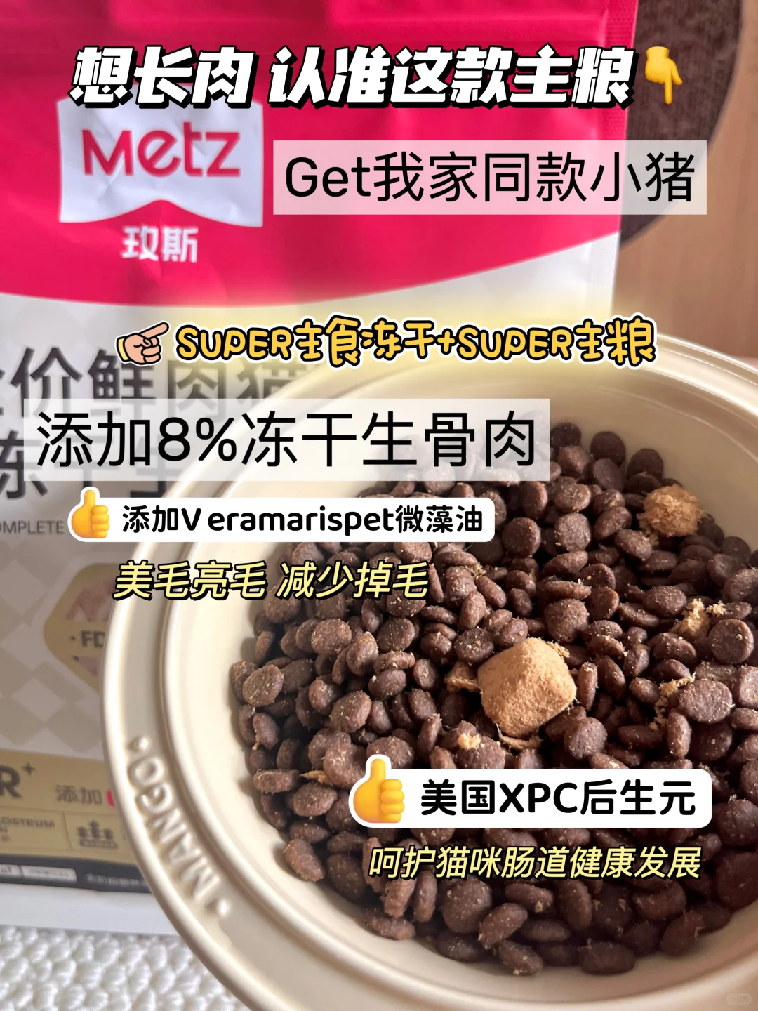 挑食猫喂养指南｜隔壁家小猫都馋哭了❗️