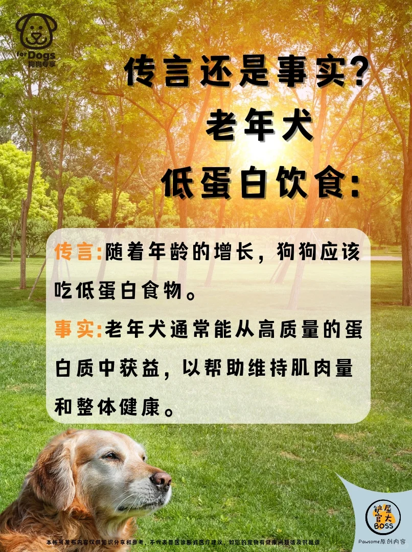 传言还是事实? 老年犬低蛋白饮食