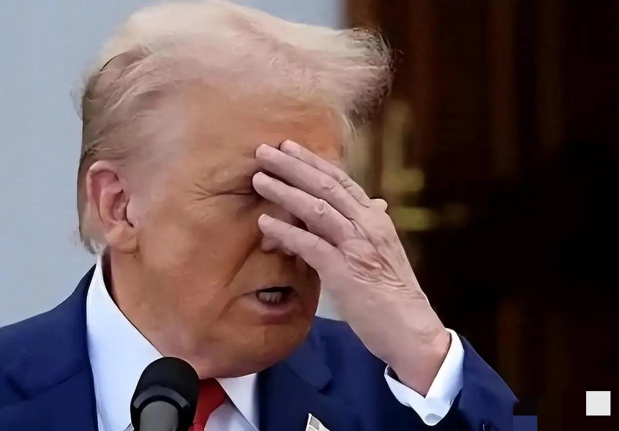 你敢信？伊朗打以色列的无人机里，70%的核心零件，居然来自美国和欧洲！我说啊，这