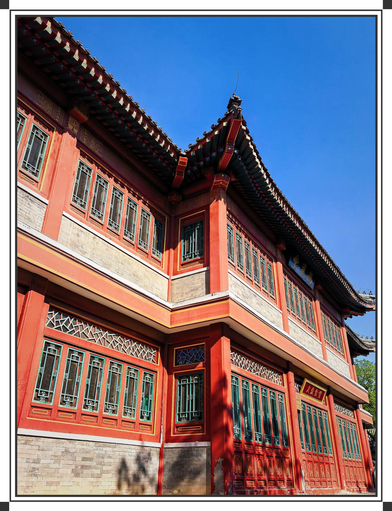 动物园旅游拍照春日北京动物园