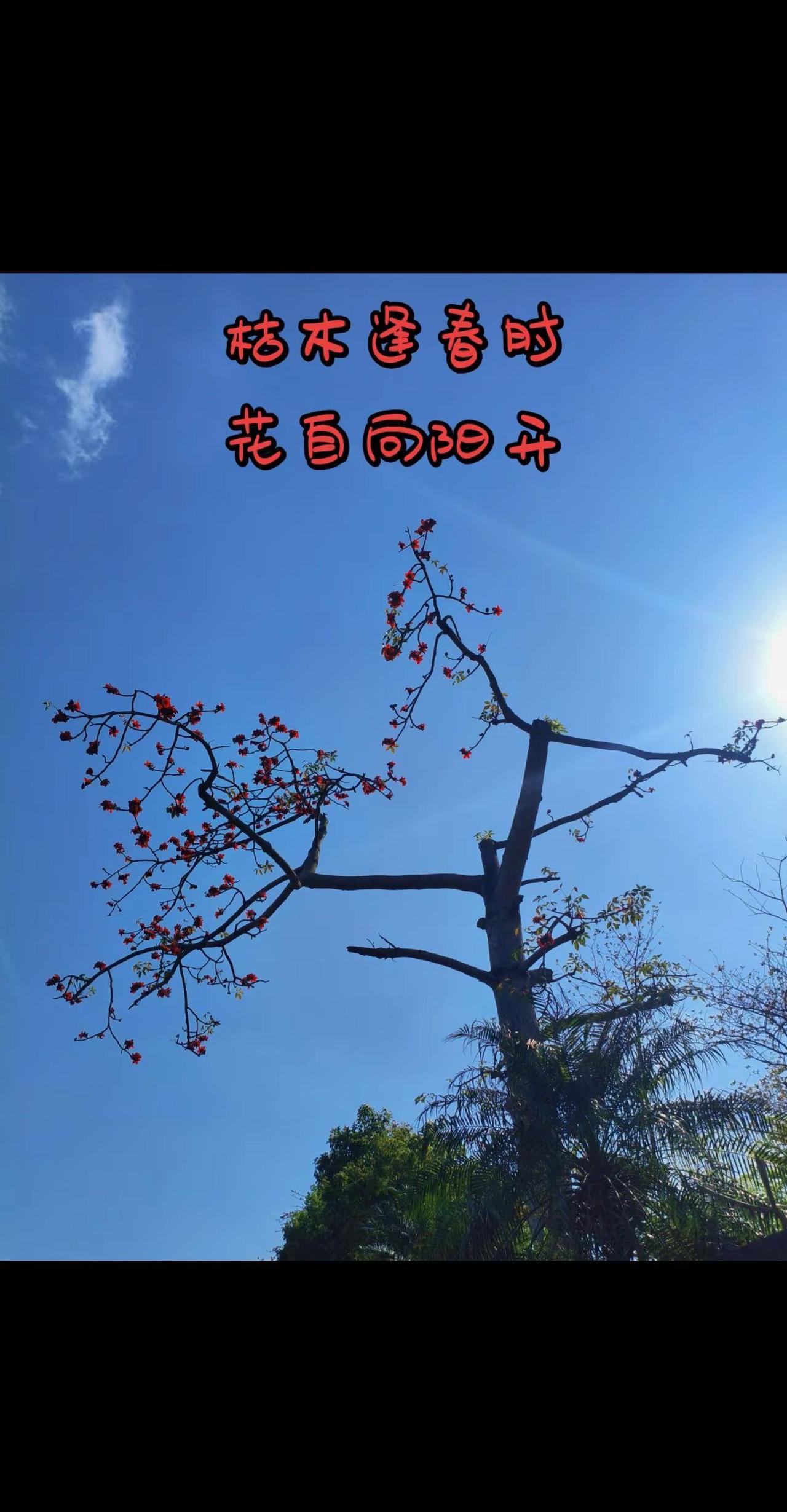 我要自由自在简简单单不去理会这世界多难脚步哪怕放得很慢心安就是唯一的答案登上山顶