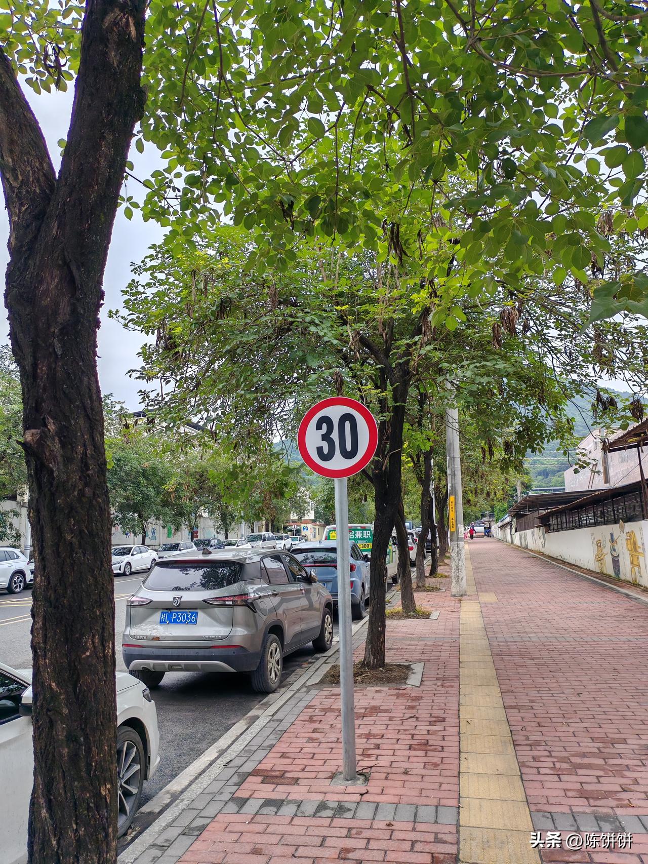 新手上路，这个标志是不是预告前方要住30天才能走？