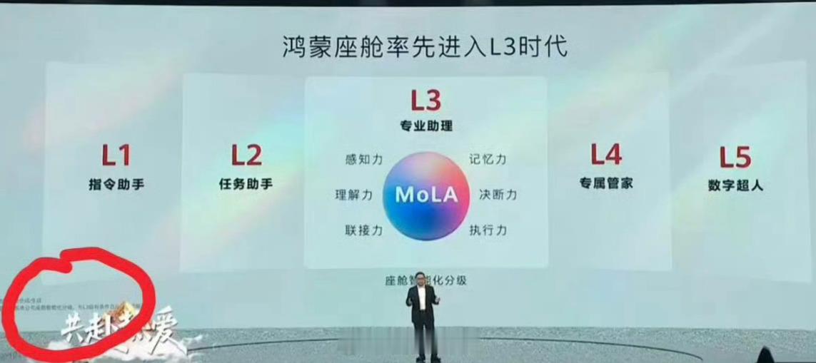 所有公司都有小字唯有小米被带节奏惨……