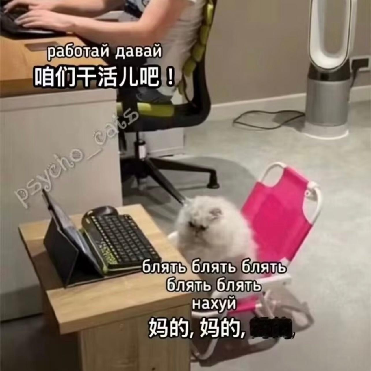 二，坤为地地势坤，君子以厚德载物注意肠胃，肌肉，慢性病宜：动土 修造 装修 拆卸