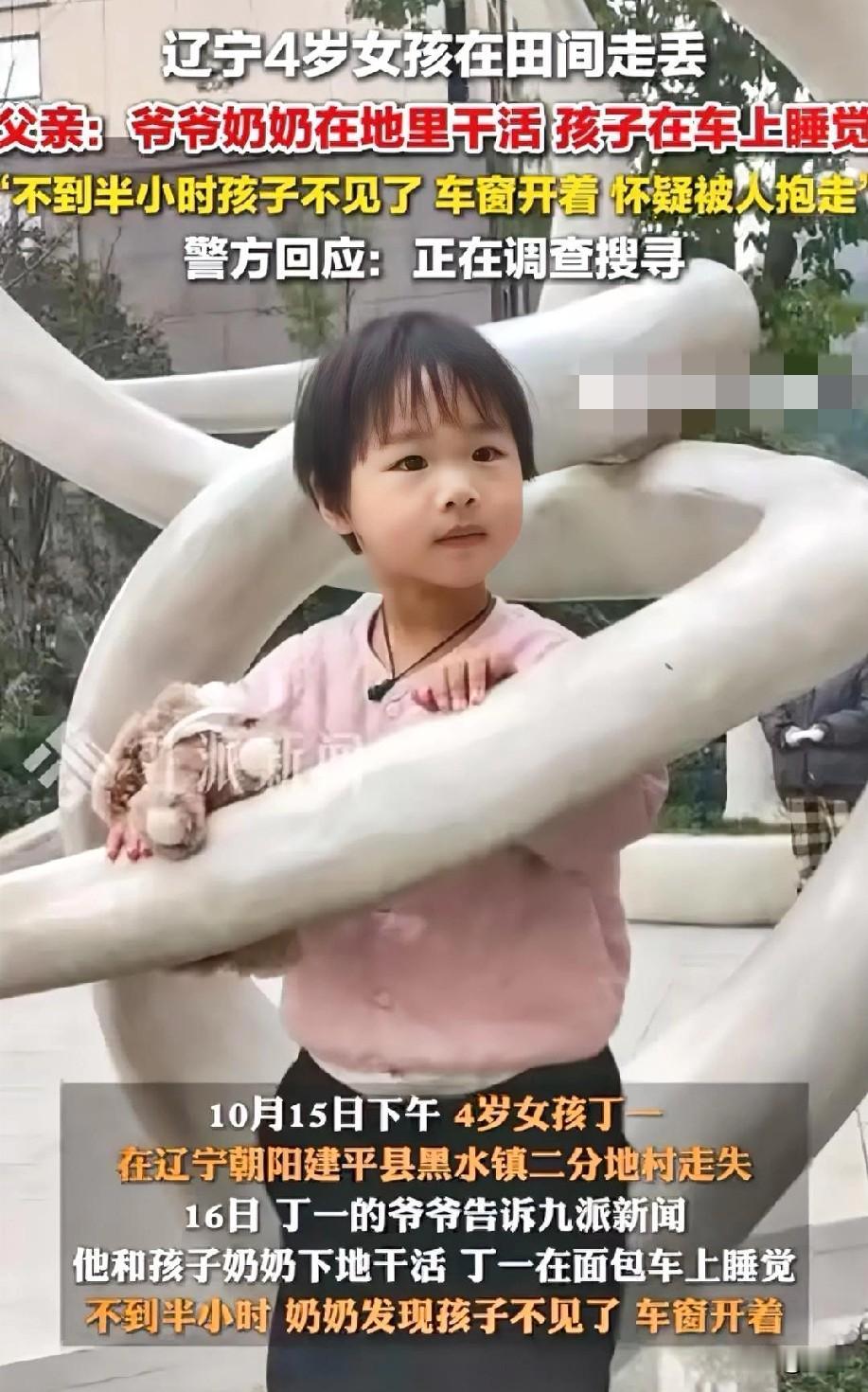 都说东北没有人贩子！
当地几百人在努力寻找中…
事发东北辽宁，当时孩子在面包车里