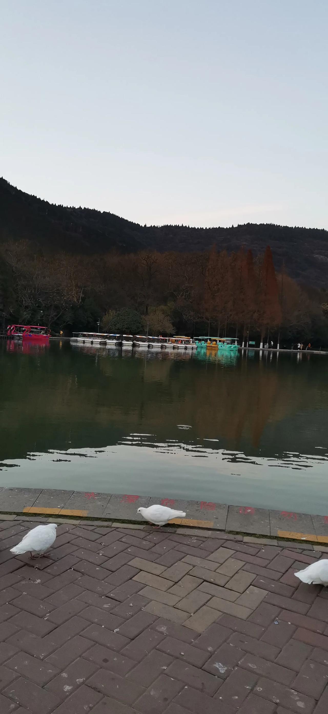随手拍记录每一天。