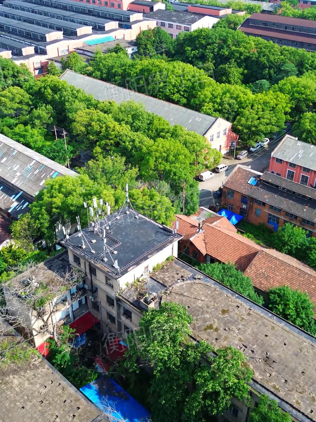 衡阳冶金片区迎来大动作！

股权转让、土地收储、学校移交三件事同步落地。最近上海