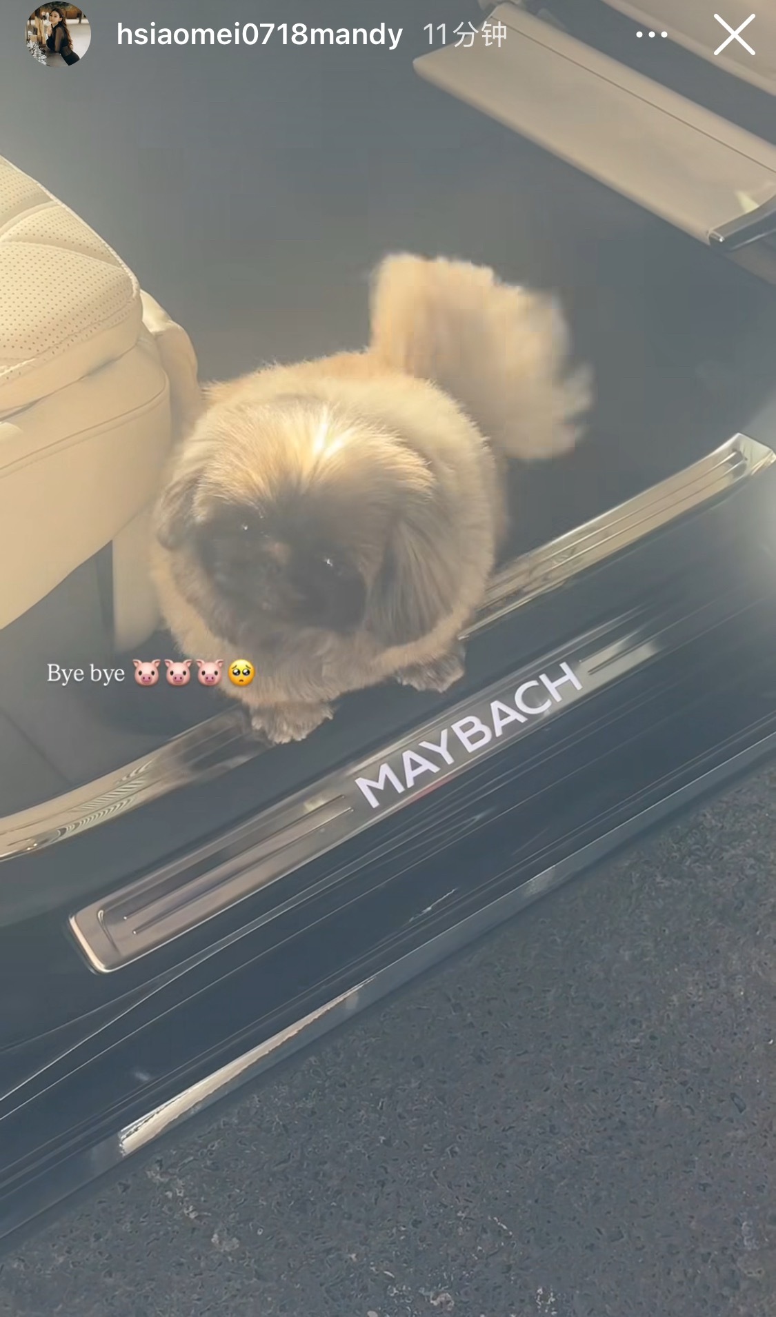 马筱梅今天又从北京飞回台北陪孩子了，汪小菲果然很有钱，车都是迈巴赫的 