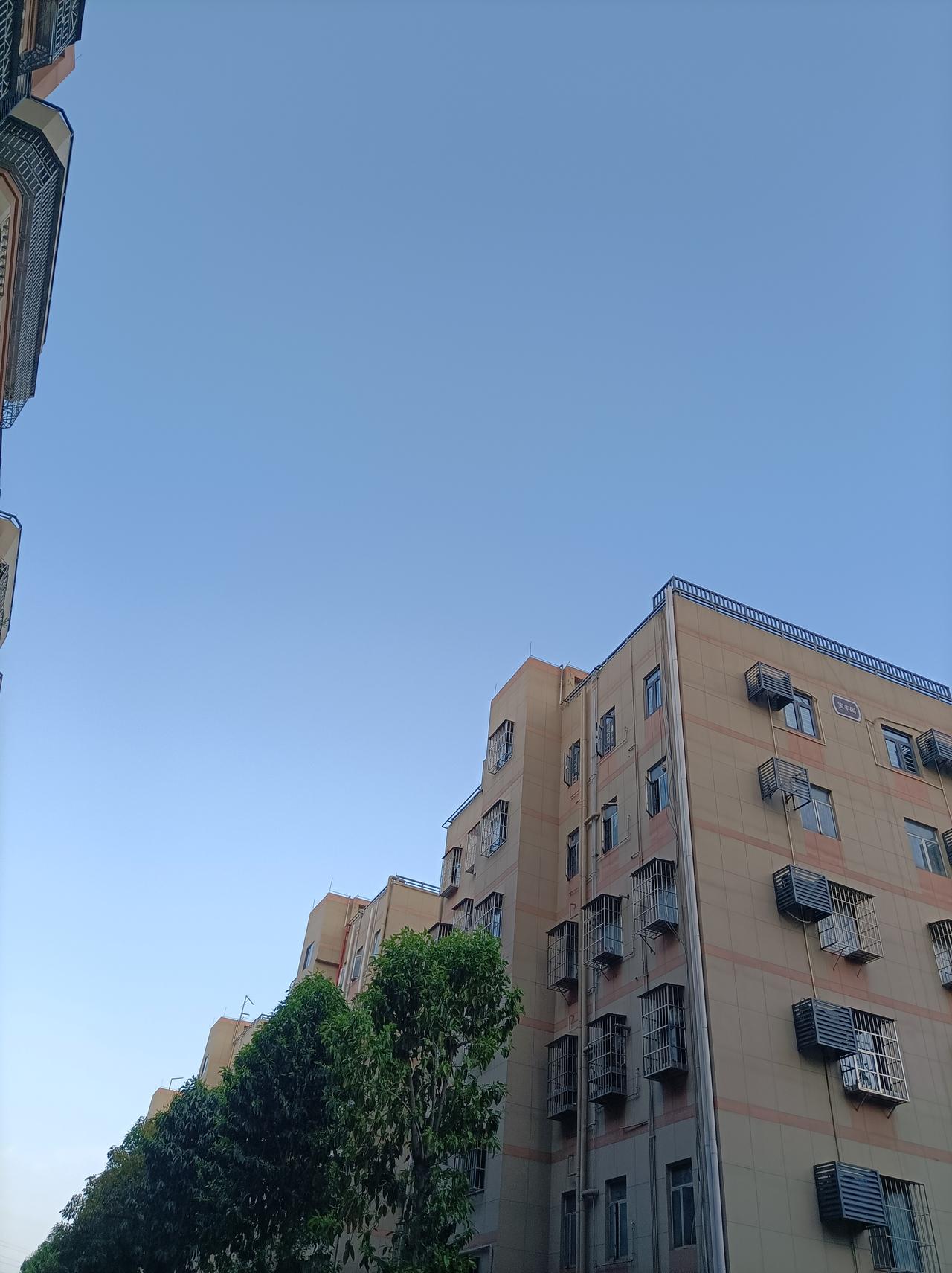 新年生活图鉴今天晴天了，这么好的天气适合出去玩玩，不负春光，欣赏美丽的春天[赞]