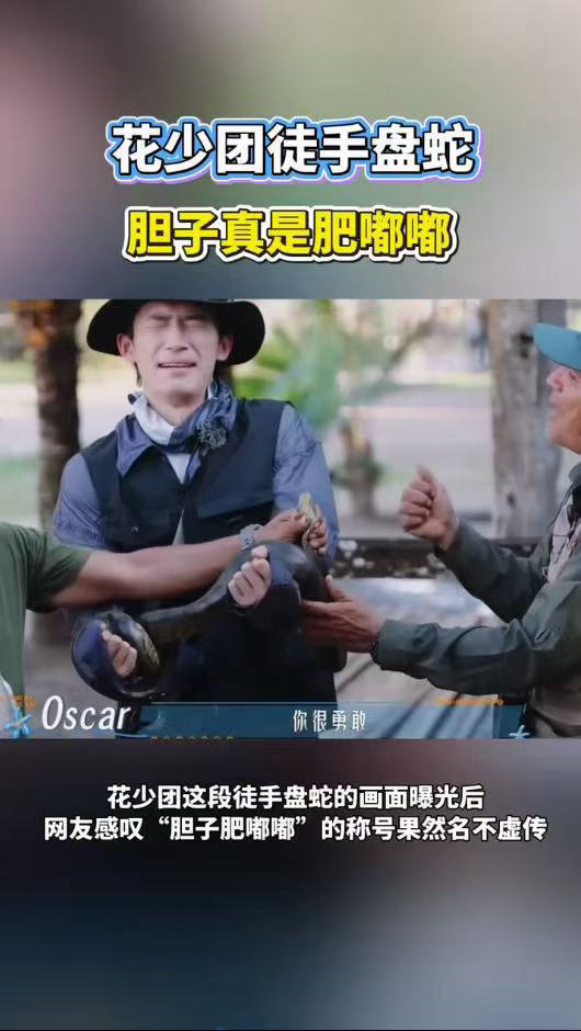 花少团徒手盘蛇胆子真是肥嘟嘟花少团再怕蛇也要出片胆子肥嘟嘟的花少团上线！直面森蚺