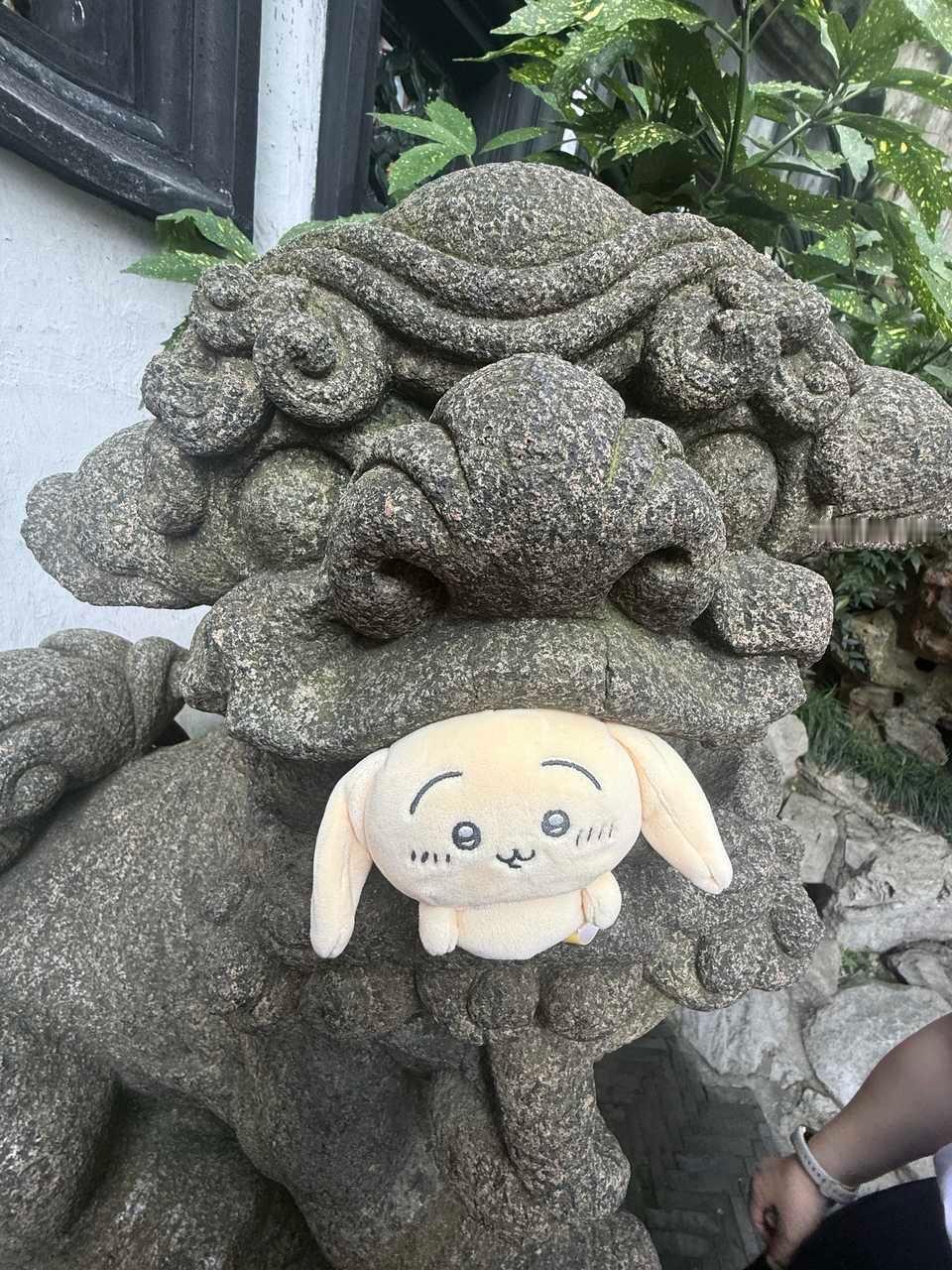 救救乌呀怎么只是看着