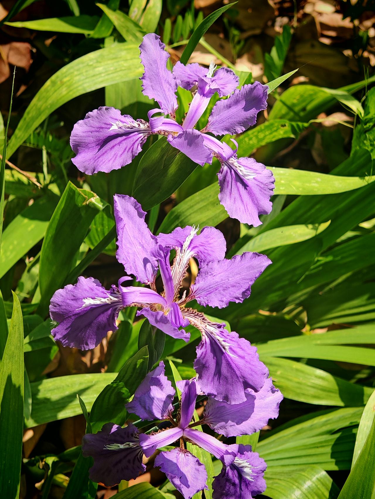 追求完美，是很多人的心愿。它能让人不断学习探索，追求卓越。就像科研人员追求技术的