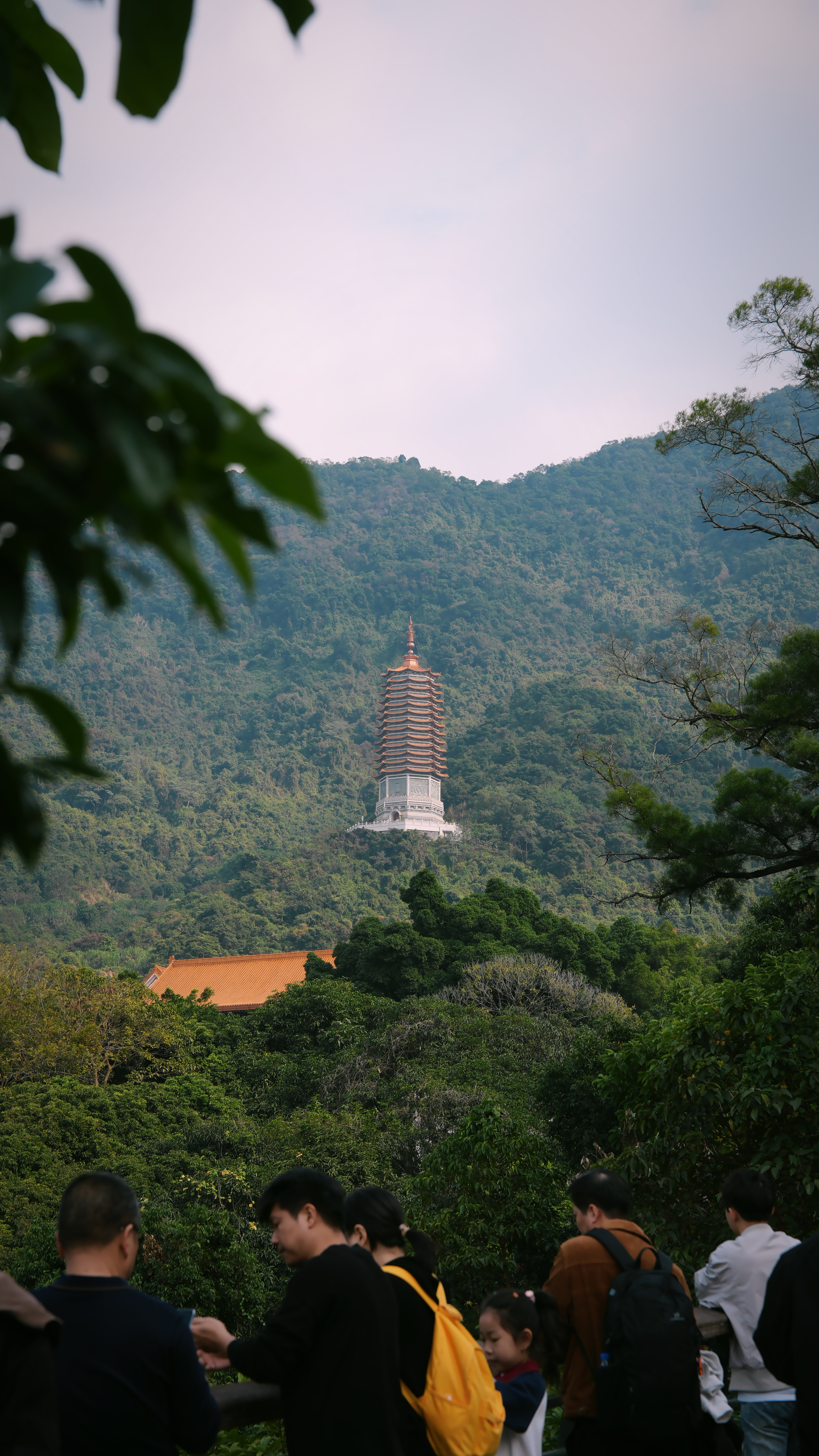 新年第一天，上香，祈愿出行平安就行，出门多主要，顺便品一下寺庙里的斋茶，味道齁甜