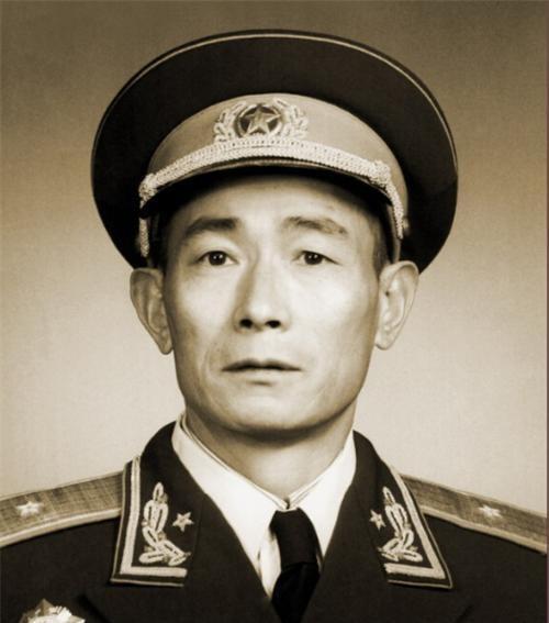 除了主攻东西两线外，我军对越反击战还曾安排一支奇兵，为何最终选择未动用这支力量？