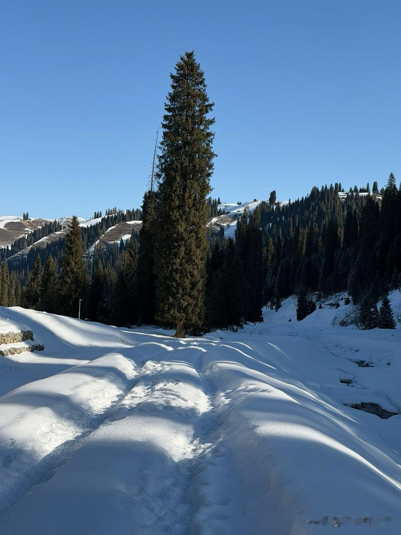 📍伊宁，这一抹蓝看过就忘不掉
       落脚伊宁，奔赴心心念念的赛里木湖，