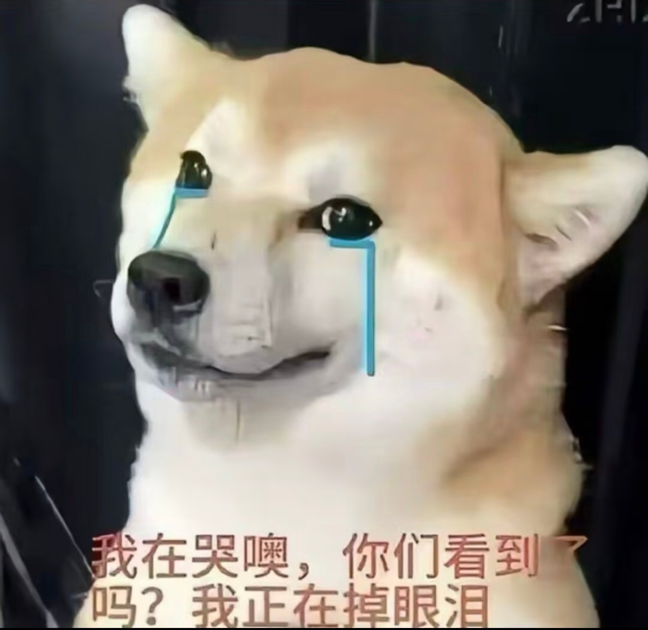 分享图片 ​​​