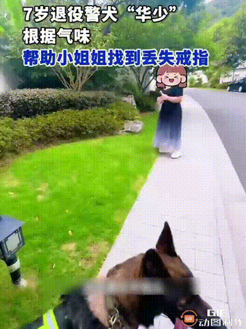 太优秀了！9月6日，浙江一名男子带着7岁的退役警犬外出散步时，看见一位女士面色焦