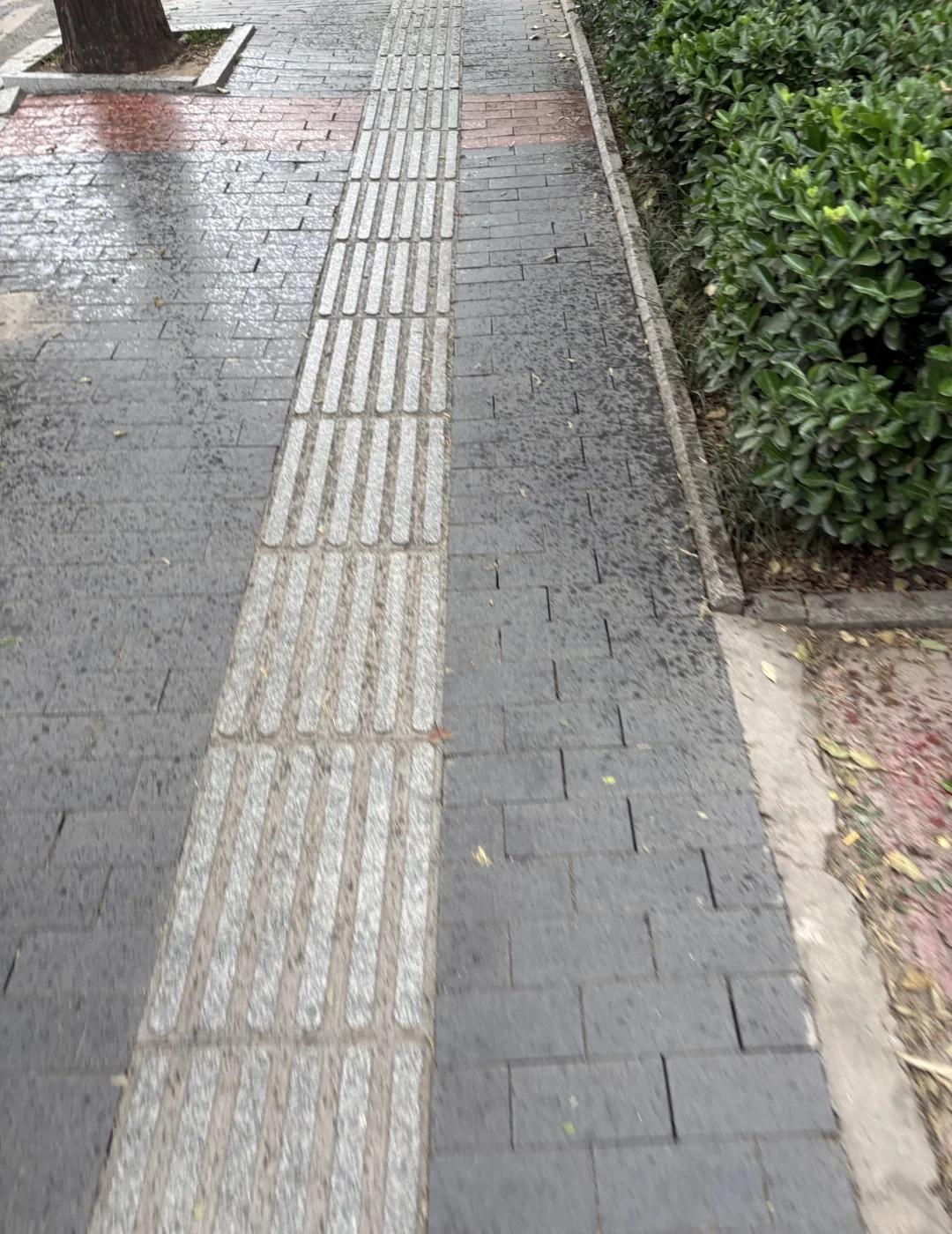 我建议盲道
不要采用易打滑的石材盲道 一下雨就巨滑无比 连我一个普通人不小心踩上