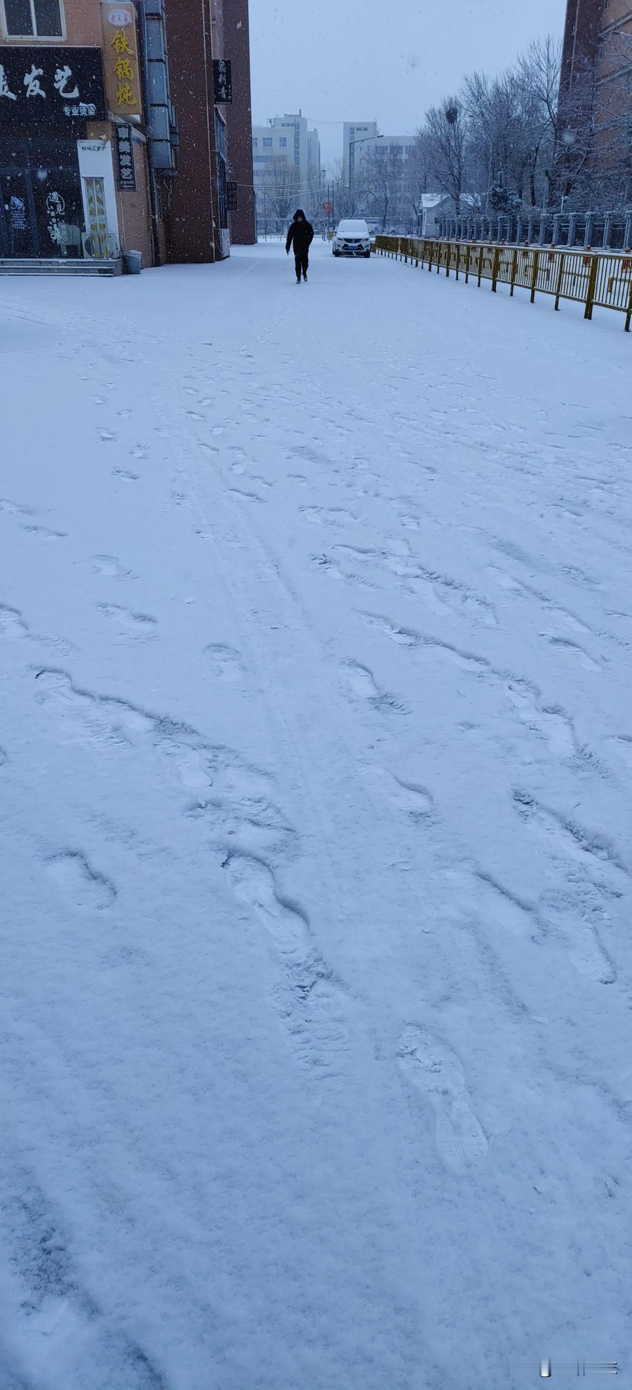 一场小雪
来的快，去的也快
早上还是一片雪白
晚上已经踪迹难寻
它来了
它又走了