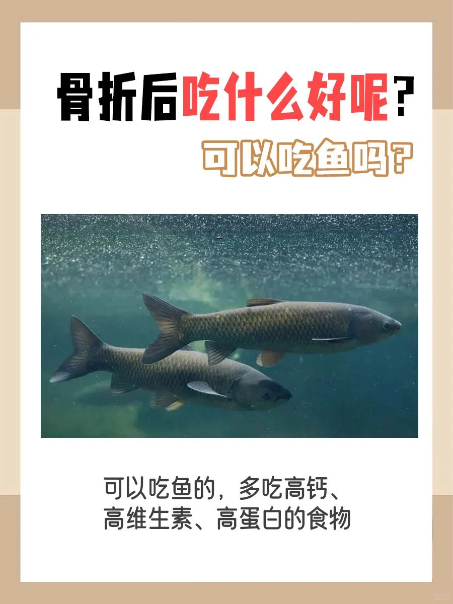 骨折可以吃鱼吗