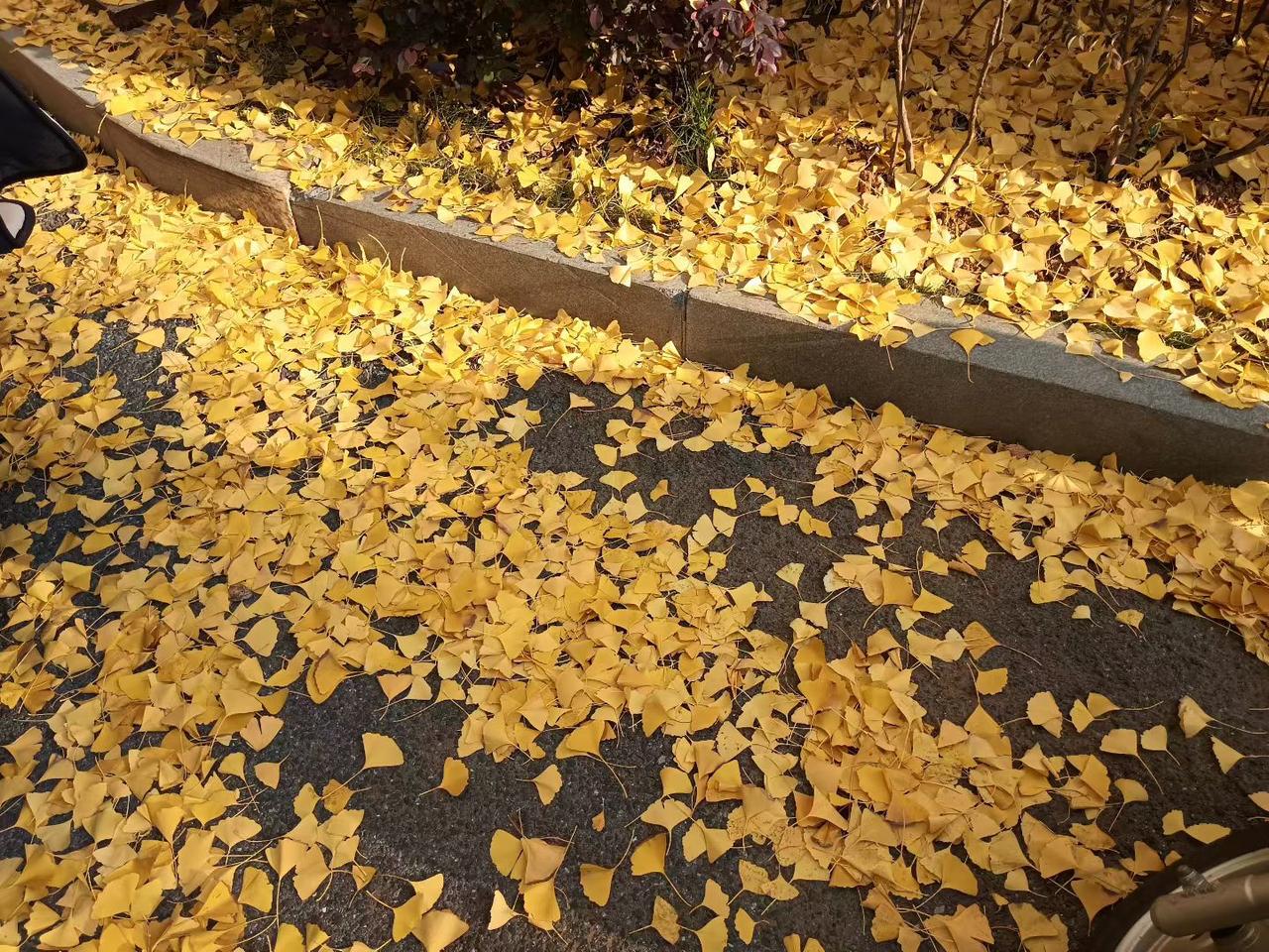 人在最低谷时，才会大彻大悟。只有经历了难以承受的痛苦，才会大彻大悟。这时才会认真