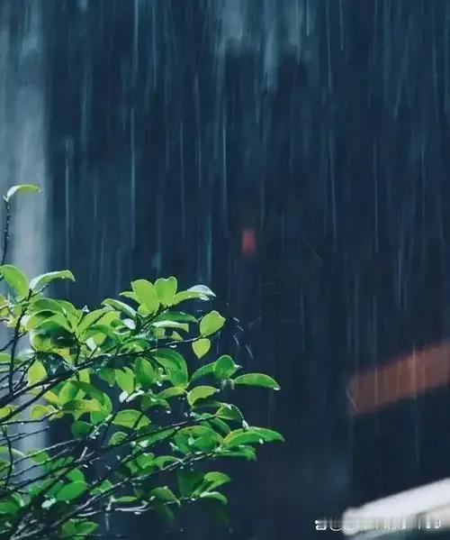 夏听雷雨冬听雪