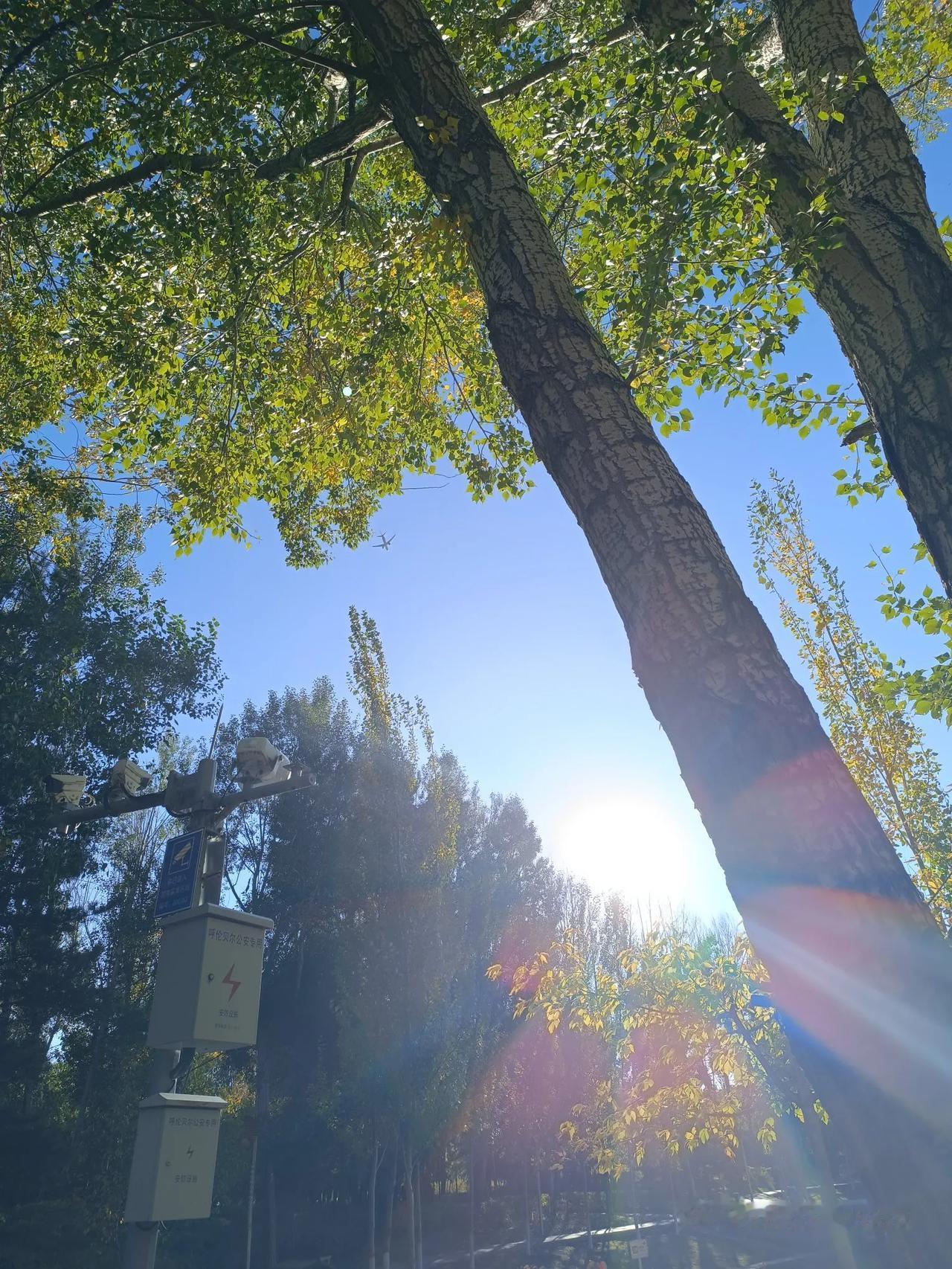 #秋日生活打卡季#