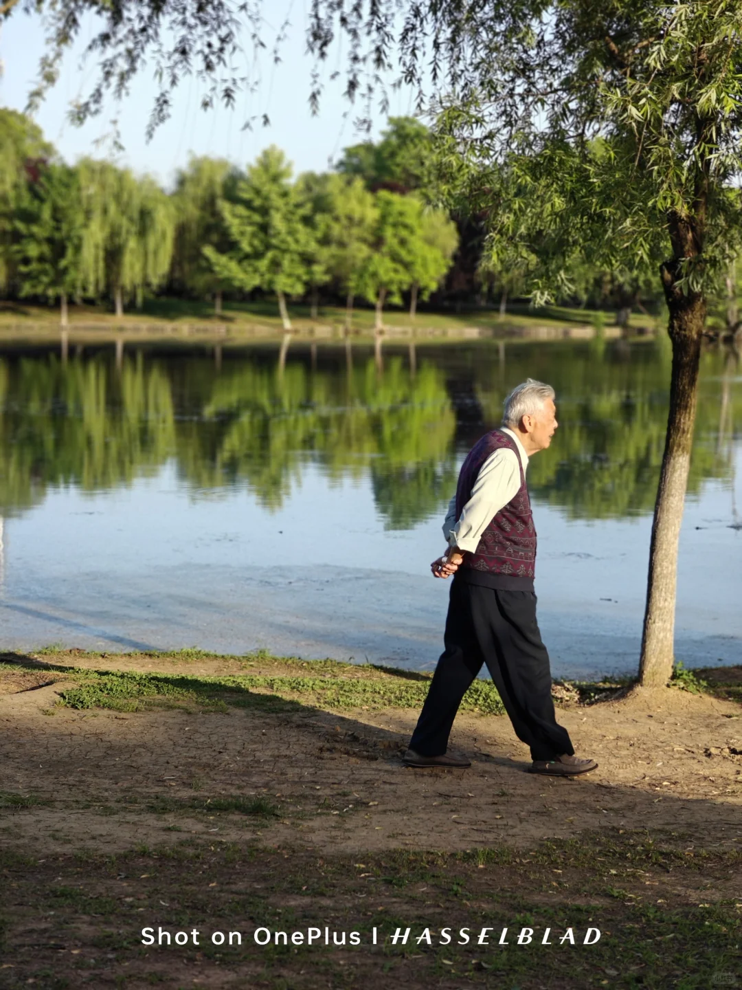 以前我也是一个相机爱好者，可自从有了一加12以后我就不经常带相机了，不为别的，就...
