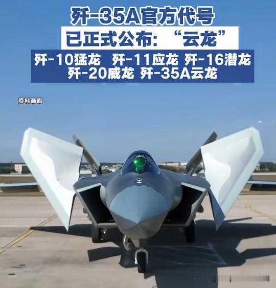 歼10代号：猛龙，
歼11代号：应龙，
歼16代号：潜龙，
歼20代号：威龙，