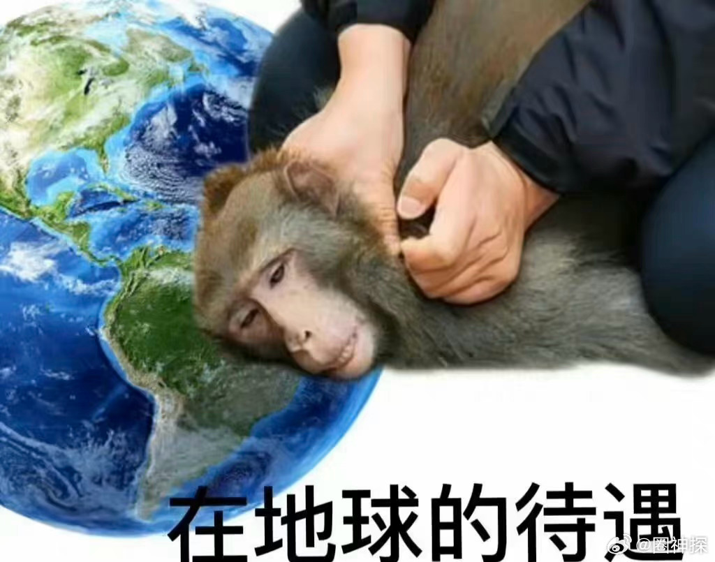 越来越容易打到臭车了  真的 本来不晕车 多打几次车自然就晕了 