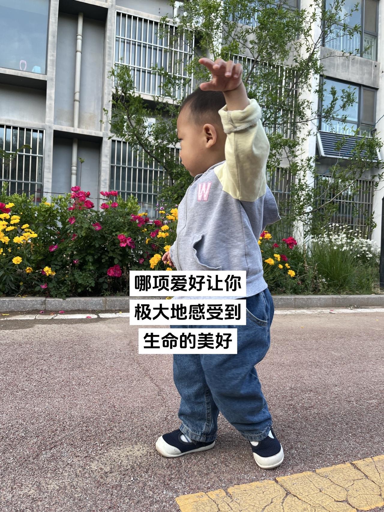 放飞自我的仔仔 生命美好 爱好