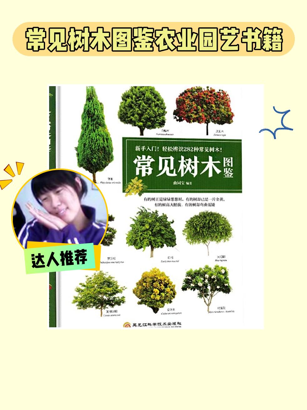 发现植物的魅力就在《常见树木图鉴》！这本正版书籍包含282种常见树木的详细分类和