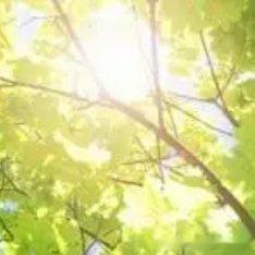 阳光信用☀️ 阳光‬‬信用☀️ 每日‬一善 中华民族传统美德，倡导“格物、致知、