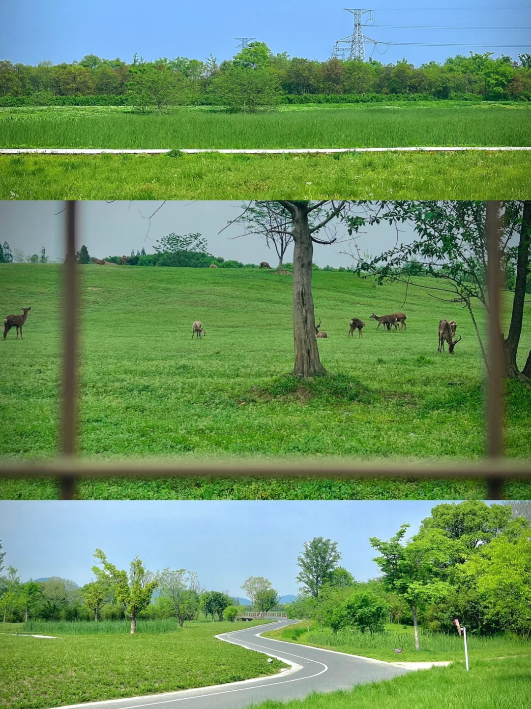 杭州良渚｜小众绝美公园｜拍出宫崎骏的夏天