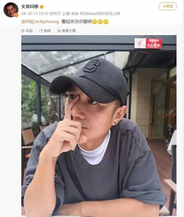 文章突发热议！

10月13日，鲜少露面的文章居然模仿了向佐摸鼻梁的动作，还艾特