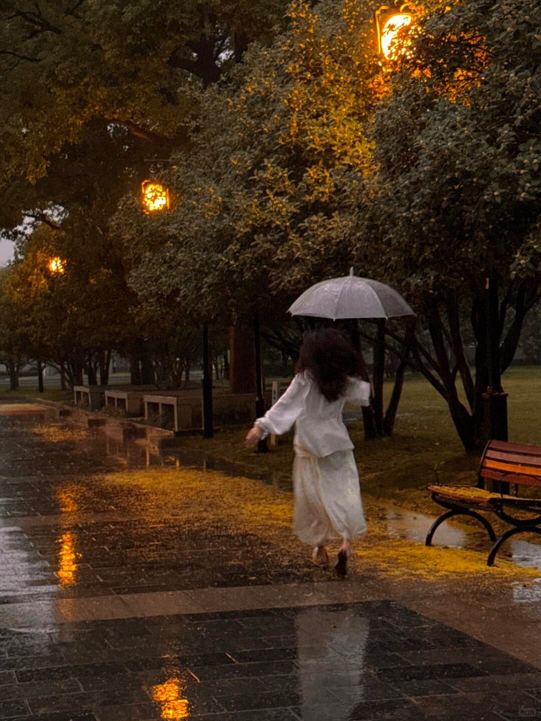 蛇能风轻云淡蜕一百次皮，祝大家也能这样毫无留恋地从旧日子里抽身而去。 ｜山本起司