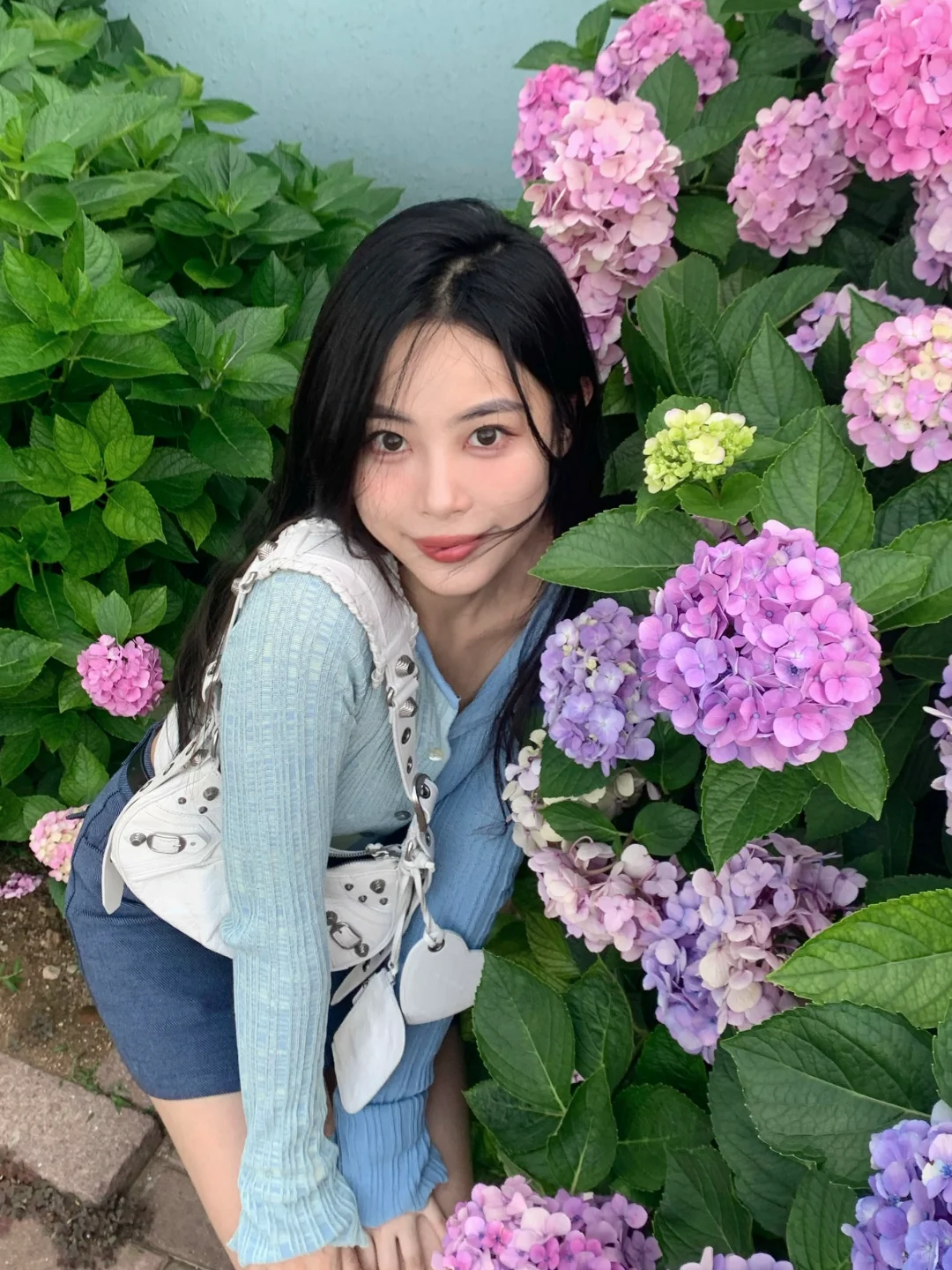 本人超拿手的绣球花拍照tips分享🪻