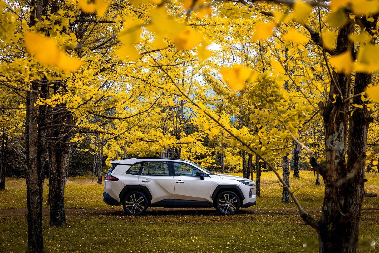 14万级全新威兰达到店大V聊车 考虑15万内家用SUV是可以看看全新威兰达：TS