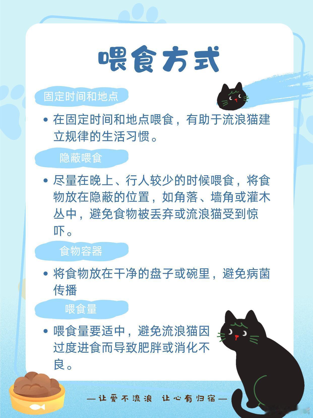 流浪科普 | 流浪猫投喂指南.流浪动物问题的源头可能是弃养好心投喂离科学救助还有